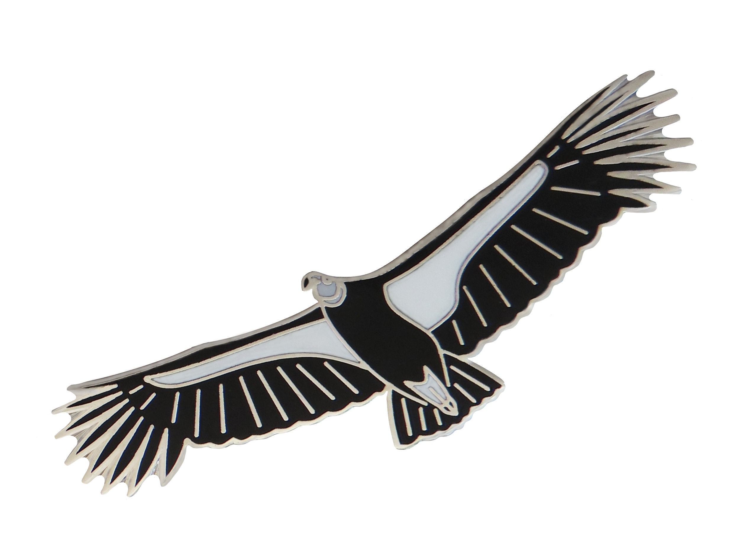 Throwback Thursday—Andean Condor (8×10 in Transparent Watercolor) | Bohan  Art