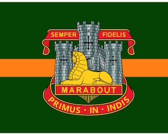Devonshire and Dorset Regiment 5'x3' Flag