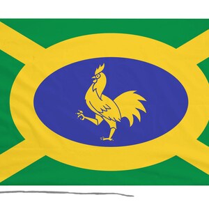 May include: A green and yellow flag with a blue oval in the center. The oval contains a yellow rooster.