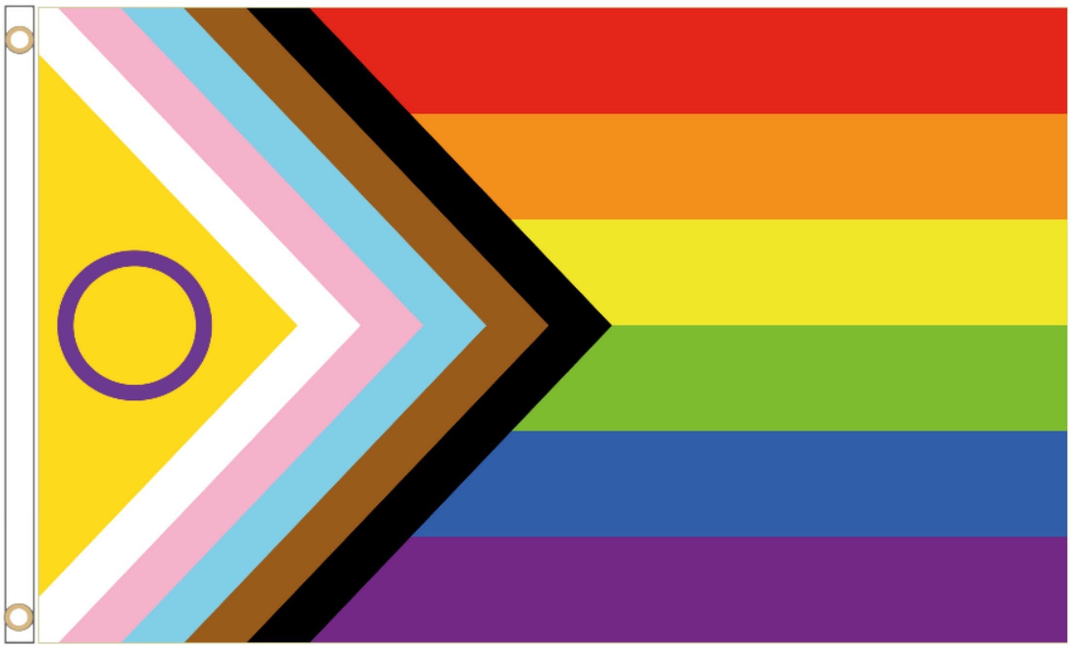 LGBTQ Pride Flag Progress Intersex Inclusive 5'x3' - Etsy 日本
