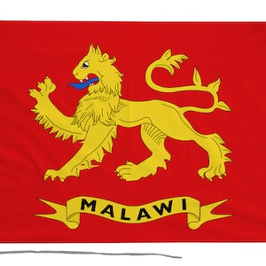 May include: A red flag featuring a yellow lion with a blue tongue, and the word "MALAWI" on a yellow banner. The flag has a white border on the left side and is hanging from a pole.