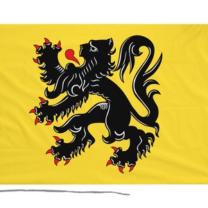 May include: A yellow flag featuring a black lion rampant, a heraldic symbol commonly used in European nations.