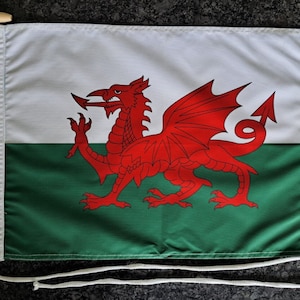 Può includere: Una bandiera gallese con un drago rosso su sfondo bianco e verde. La bandiera è fatta di tessuto e ha una corda bianca attaccata alla parte superiore.