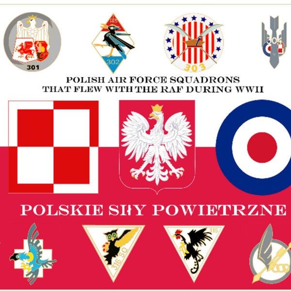 Polish Air Force Squadrons Allied to the RAF during WWII 5'x3' Flag