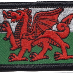 Op de afbeelding: Een rode draak met zwarte contouren en vleugels op een witte en groene vlag. De vlag is omgeven door een zwarte rand.