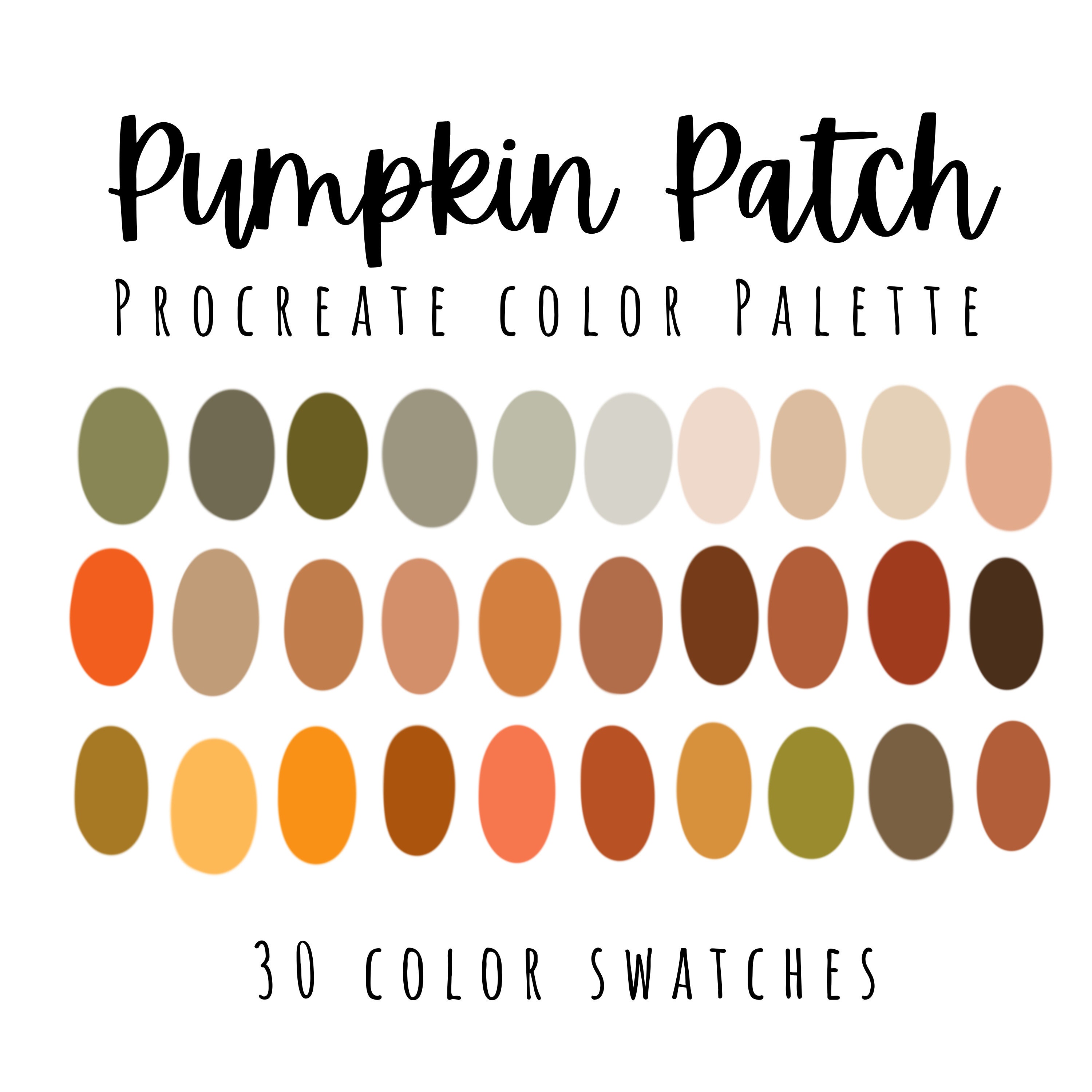 Fall Pumpkin Patch Procreate Color Palette L Fall Color Swatches