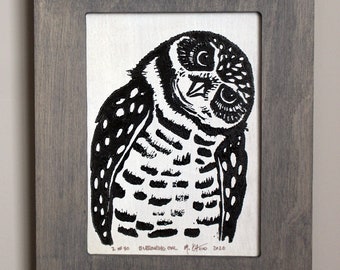 Burrowing Owl  | Framed Block Print | Hand Printed on Wood