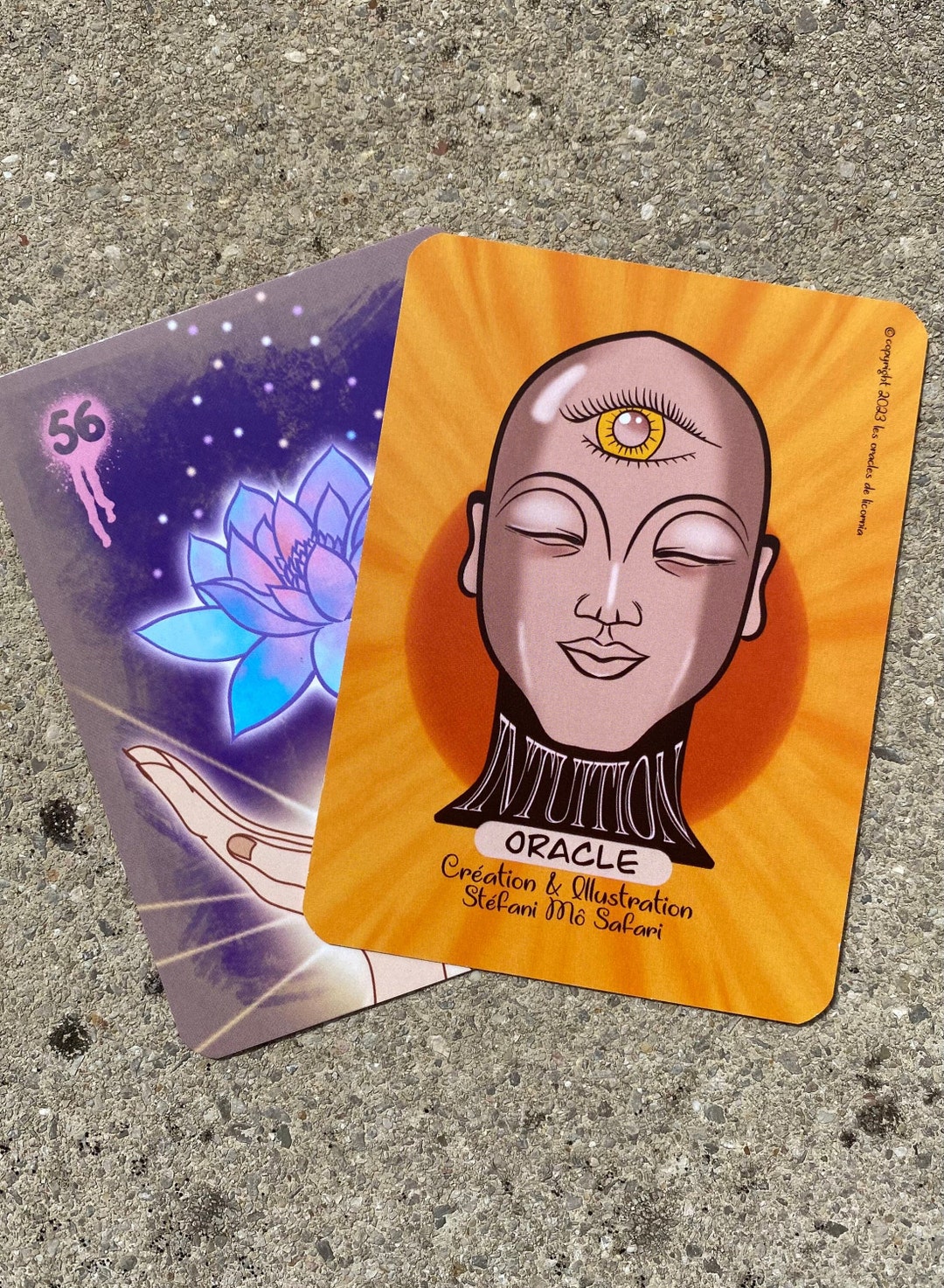 Oracle INTUITION by Stéfani Mô Safari oracle Divination for Beginners