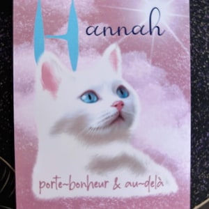 L'Oracle d'HANNAH illustrations colorées très parlantes et ludiques, mots clé,  -PAS de pdf- les cartes se suffisent à elles-mêmes