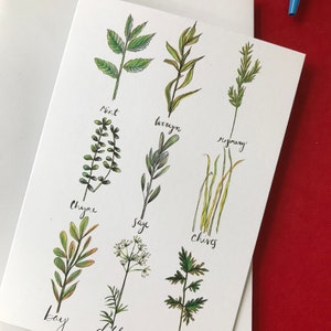 Gartenkräuter Blankokarten-Pack von 6 A6