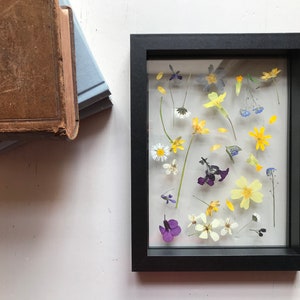 Medium Pressed Flowers Framed (Scattered)