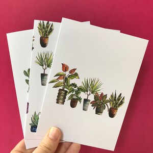 Cactus y Plantas Tarjetas en Blanco-Pack de 6 (A6)