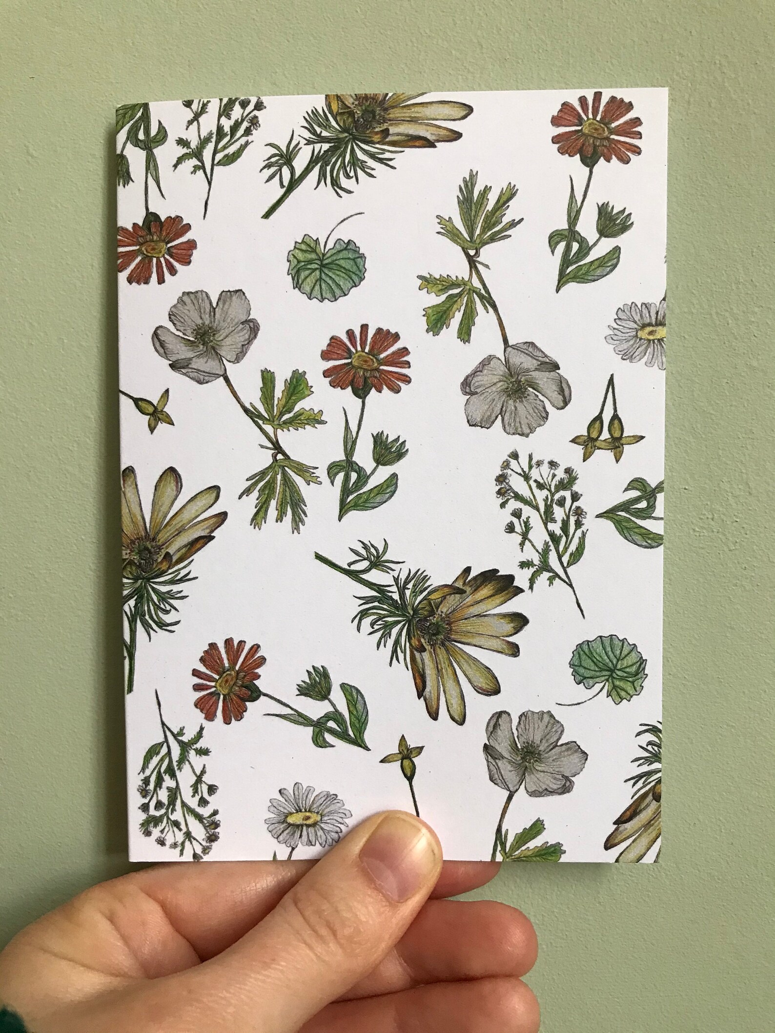 Floral Blank Cardspack of 6 A6 Etsy