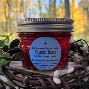 Wilde Pflaumen Gelee, Pflaumen Marmelade und Gelee, Gourmet Essen Geschenk, Foodie Geschenk, Natur konserven, lokal angebaut handgepflückt, Bauernhof zum Tisch