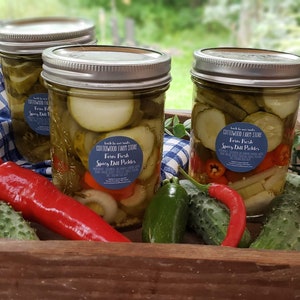 Spicy Dill Pickles, Artisan Gourmet Hot Dill Pickles, Hot Dill Pickles, Pickle Lover Gift, Pickled Goodies, Farm to Table, Made in Wisconsin