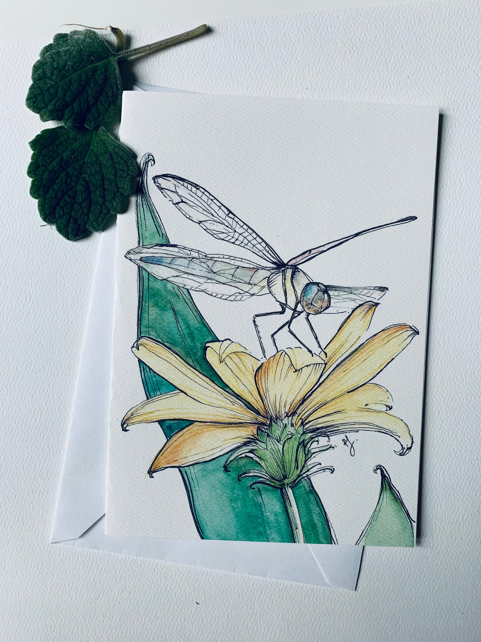Insect Variety Greeting Cards 4 Blank Insect Cards Etsy