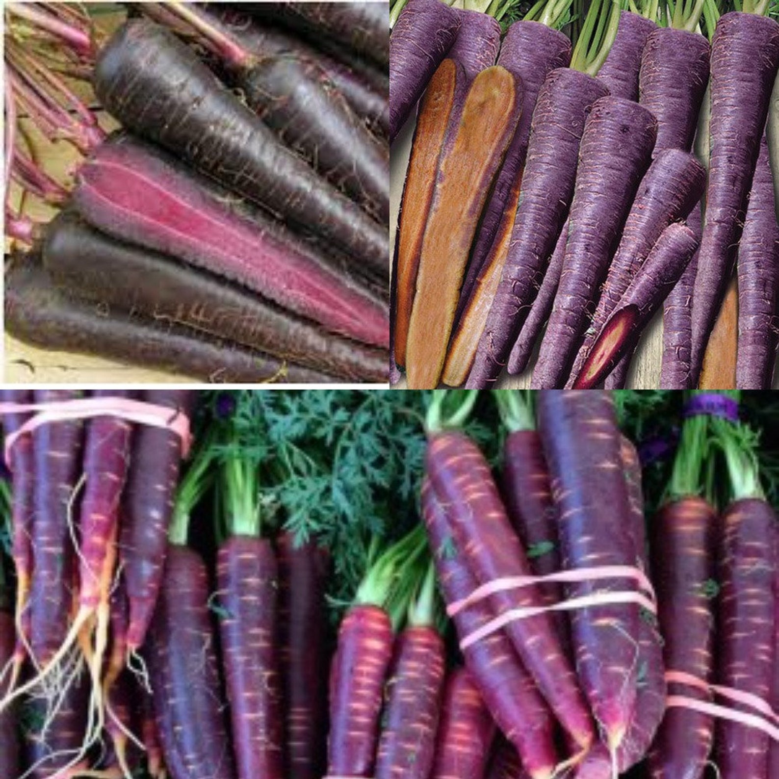purple carrot