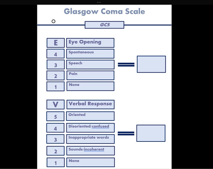 SBAR & Glasgow Coma Scale Badge Card for Student Nurses, Medical ...