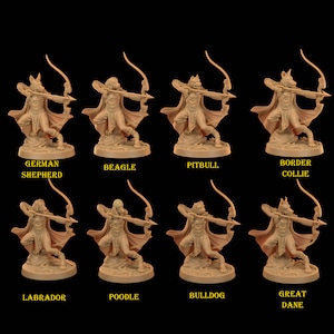 Dog Rangers - Dragon Trapper-miniatuur - The Dragon Trappers Lodge - Fantasy - D&D - Pathfinder - Rollenspel
