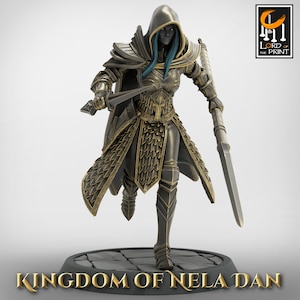 Elf Spear Fighters  - Fantasy - D&D - Pathfinder - Roleplaying