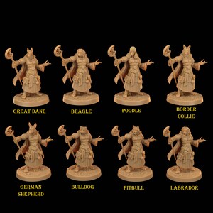 Hund Magier - Drachen Trapper Miniatur - The Dragon Trappers Hütte - Fantasy - D&D - Pathfinder - Rollenspiel
