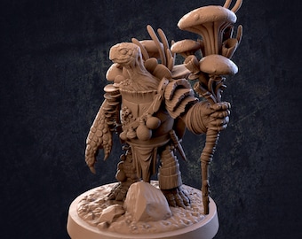 Doc Rooney - Tortle Fungus Druid - The Dragon Trappers Lodge -  Fantasy - D&D - Pathfinder -  Roleplaying
