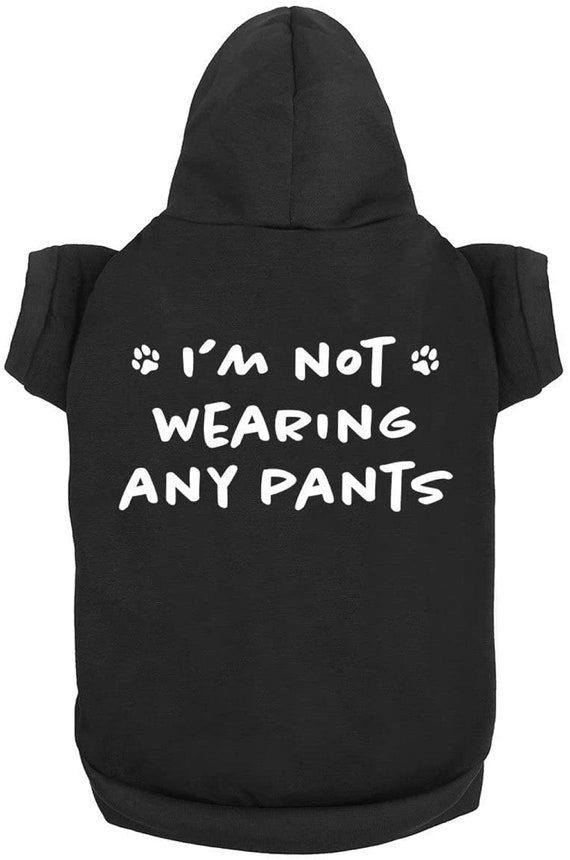 Funny Dog Hoodies I m Not Wearing Any Pants Cute Dog Clothes Pet Puppy Cat Sweatshirt Dog Accessories for Small Large Dogs Soft Breathable Etsy