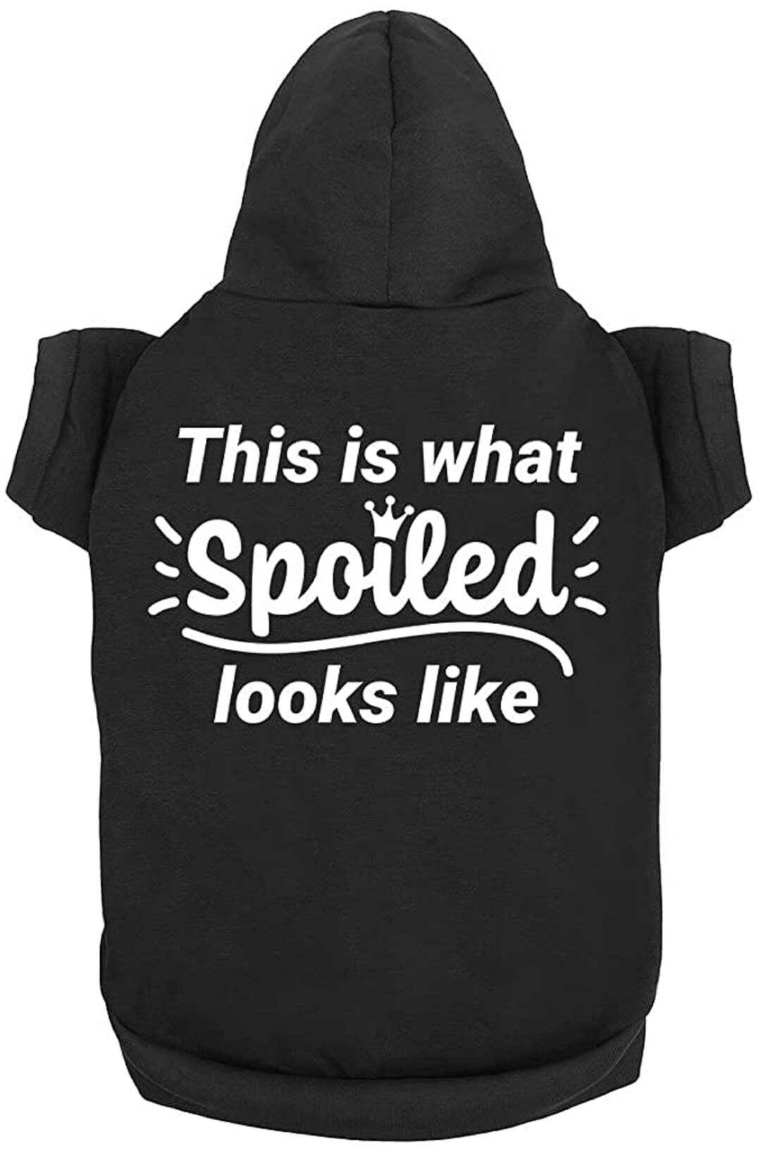 Funny Dog Hoodies What Spoiled Looks Like Cute Dog Clothes Pet Etsy