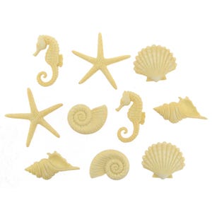 Beach Beauties Dress It Up Buttons, Starfish, Seahorse, Shells, 3D Craft Embellishments, Set of 10