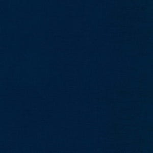 Pode incluir: Um fundo azul escuro sólido.