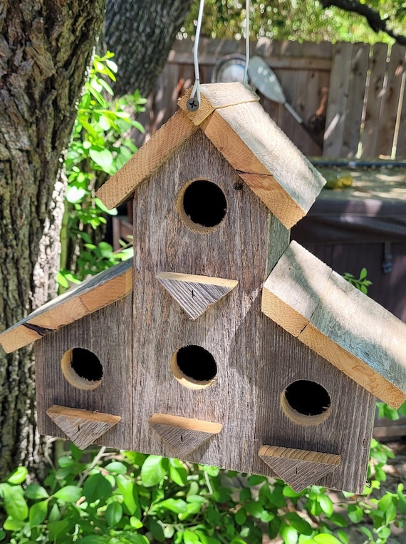 Birdhouse () Birdhouse