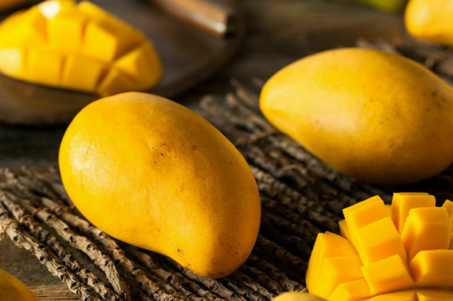 Mango Pineapple Live Tropical Fruit Tree1224 Mango plant | Etsy