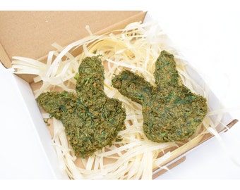 Coriander Bunny treat for rabbits. Bunny treats. Guinea pig treats.