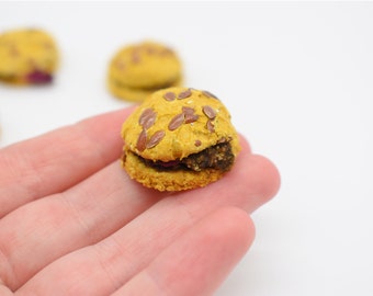 Burger shape treats for rabbits and guinea pigs.