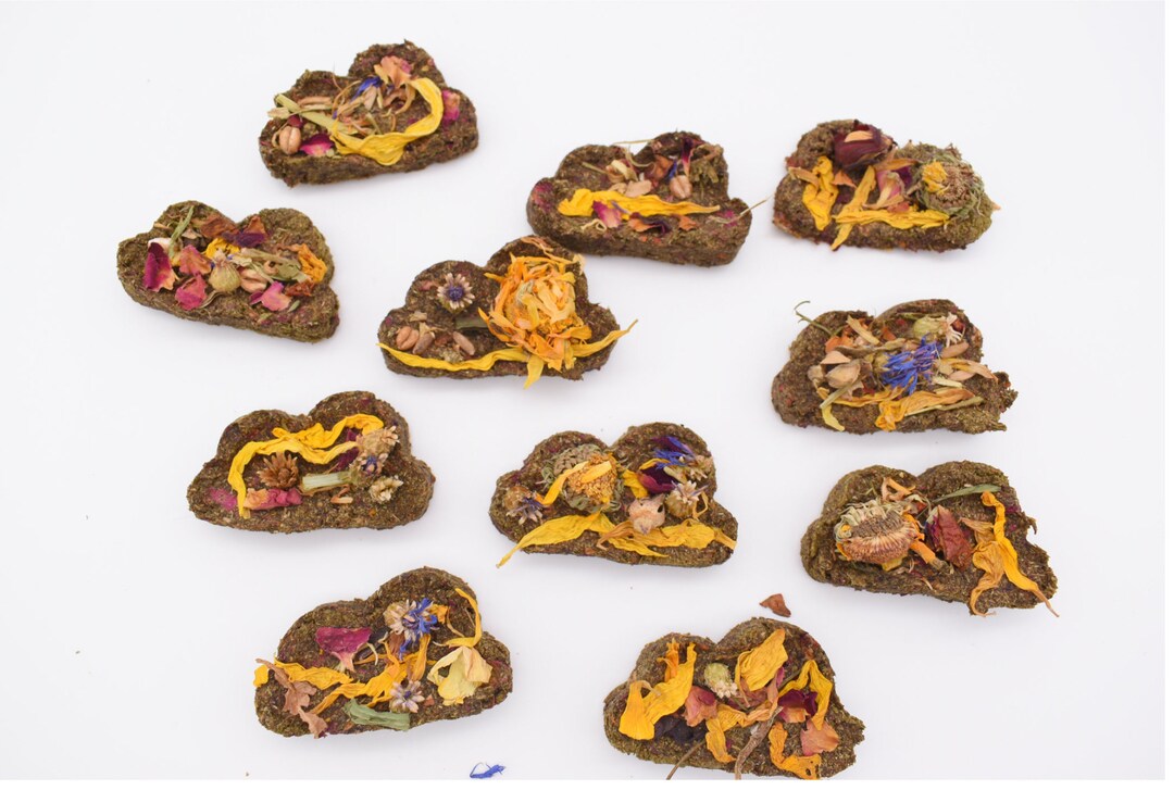 Oatfree Treats for Rabbits, Guinea Pigs. Small Pet Treats. Guinea Pig