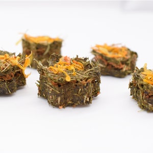 Handmade Pear Blueberry Hay Treats for Rabbits & Guinea Pigs