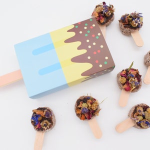 Mini Popsicles - treats for rabbits, guinea pigs - handmade natural treats for rabbits and guinea pigs