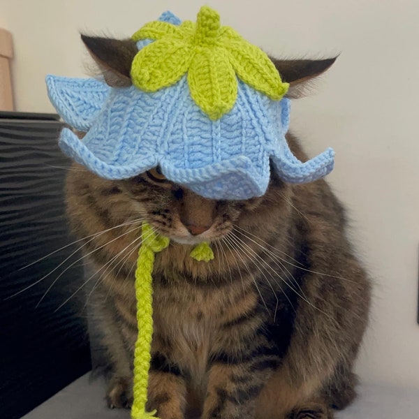 Flower cat hat
