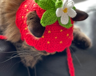 Strawberry cat hat