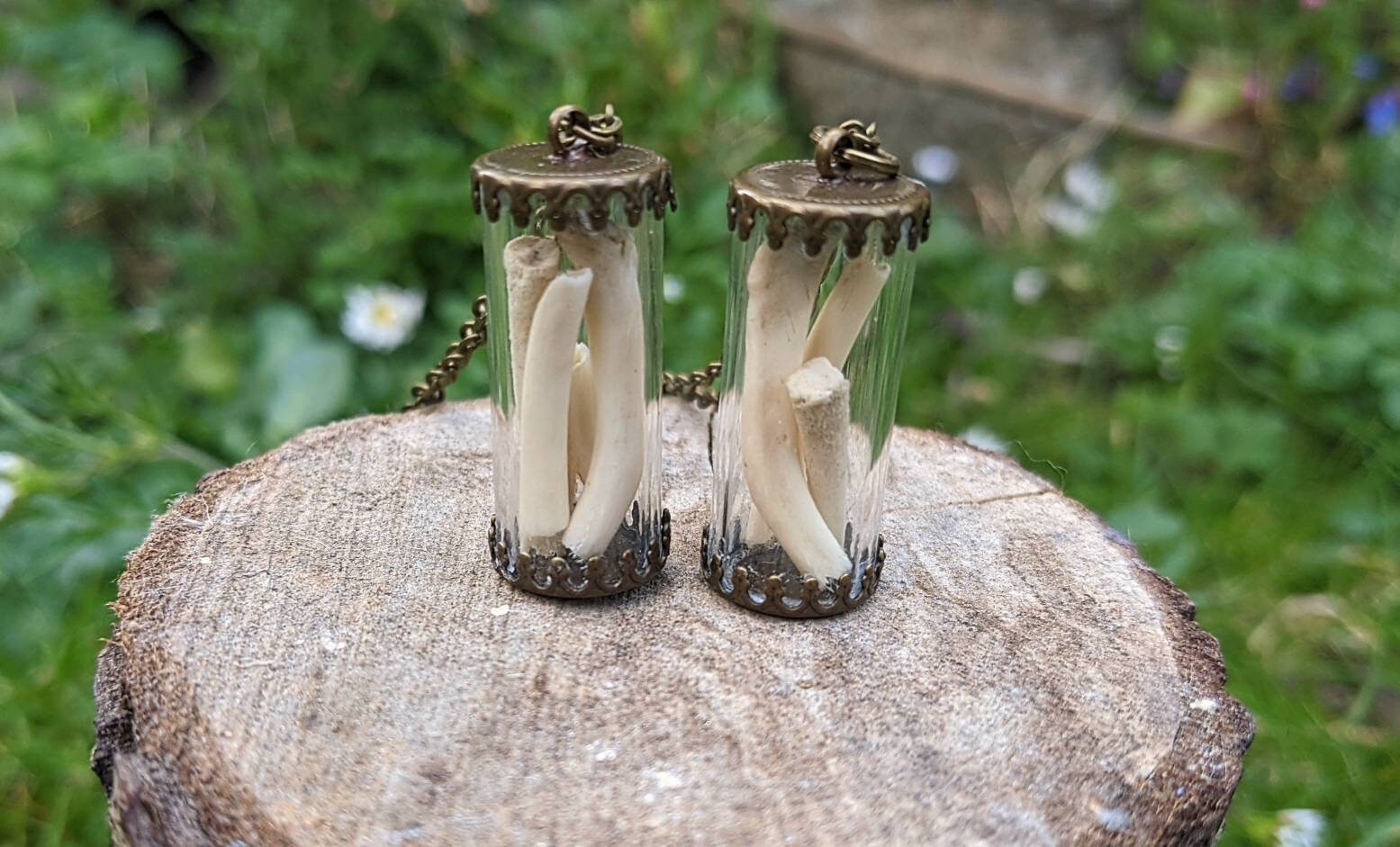 Foraged Animal Bones/teeth Curio Vials - Etsy