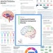 OCD Workbook OCD Awareness Fillable Handout Treatment Guide ERP ...