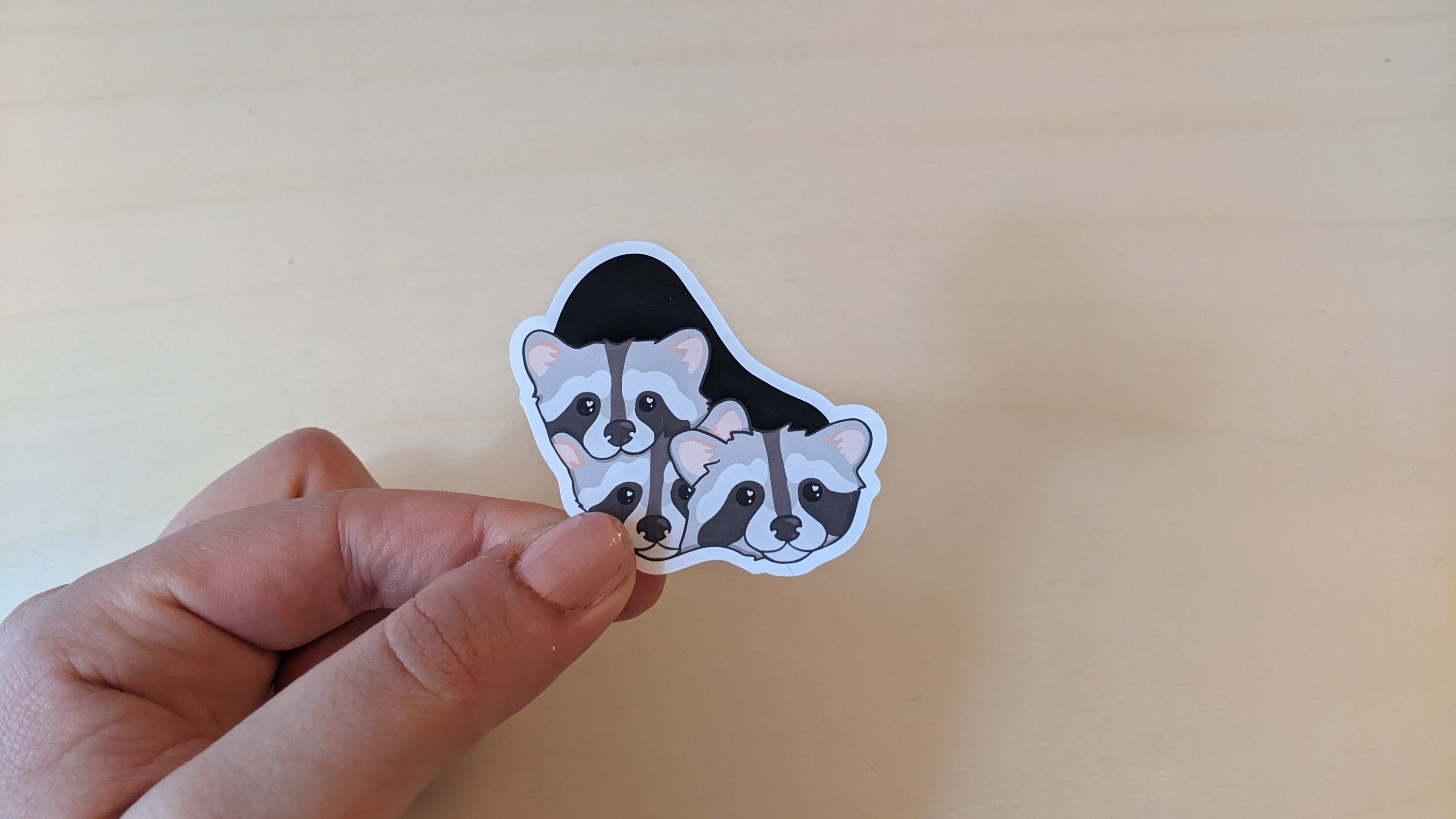 Raccoon Stickers, Raccoon, Trash Panda, Cute Stickers 