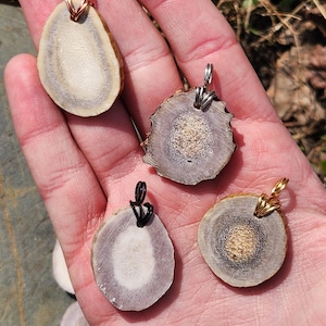 May include: Four antler slice pendants with different colored wire wraps. The pendants are round and oval shaped with a natural antler pattern. The wire wraps are copper, silver, black, and gold.