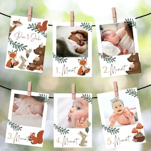 1. Jahr Fotogirlande Waldtiere 1. Geburtstag Foto Banner personalisiert Woodland Fotogirlande Waldtiere Geburtstag 12 Monate Karten
