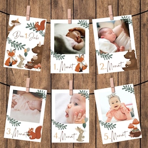 1. Jahr Fotogirlande Waldtiere 1. Geburtstag Foto Banner personalisiert Woodland Fotogirlande Waldtiere Geburtstag 12 Monate Karten