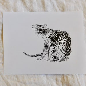 Rat Illustration Print: Black and White Ink Illustration/ Minimal/ Animal Drawing