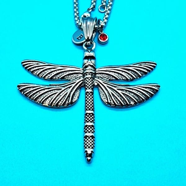 Large Dragonfly Charm Necklace, Dragonfly Charm, Stainless Steel Chain and Charm, Dragonfly Pendant, Aerial Predator, Insect Jewelry