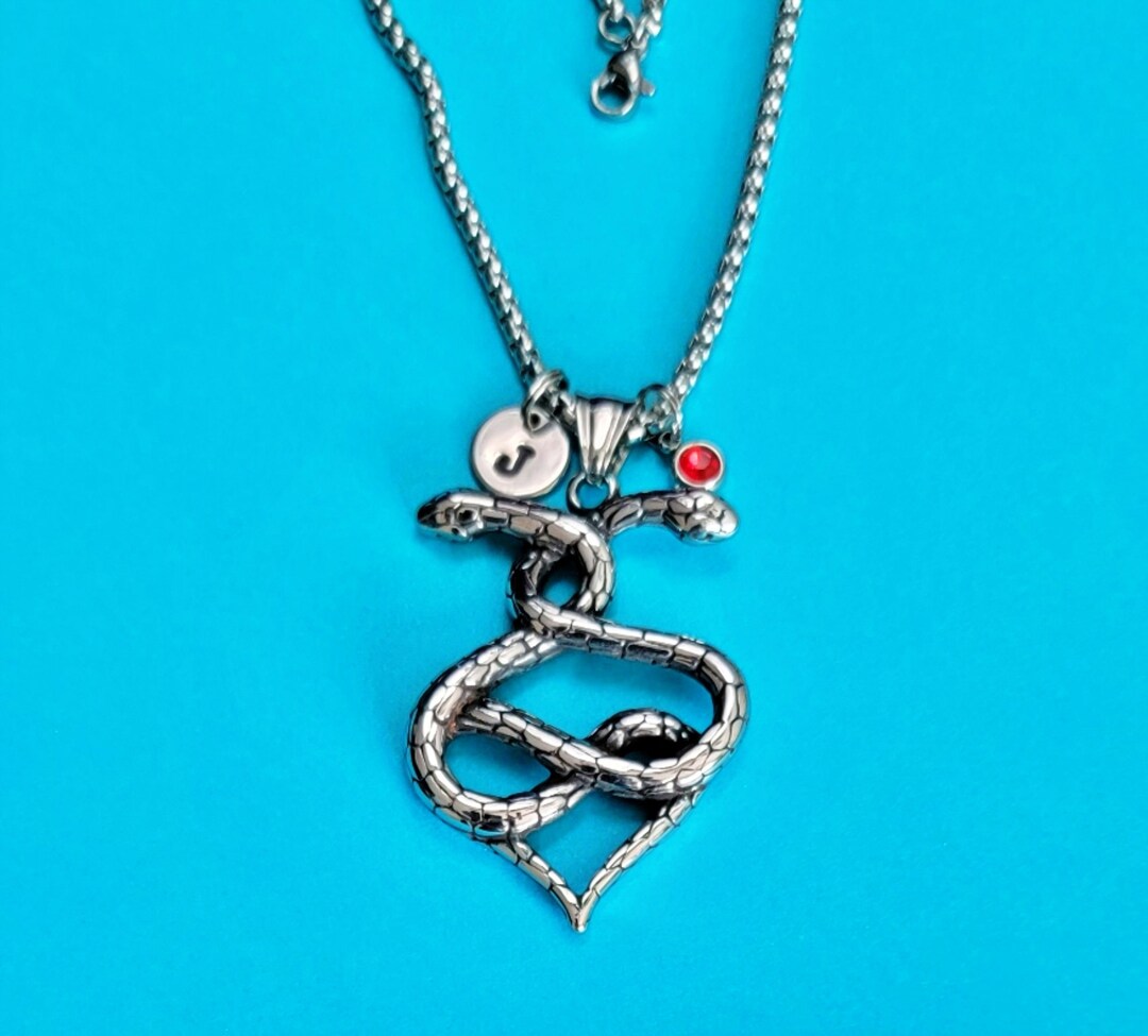 Snake Charm Necklace, 2 Intertwined Snakes Charm, Silver Stainless