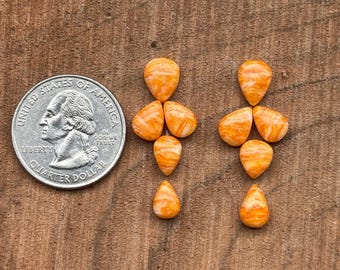 Orange Spiny Oyster Shell Earring Cabochon Set – Jewelry Making Stones Wholesale Supply