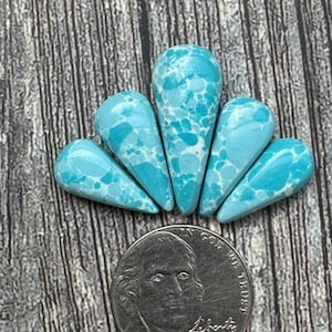 May include: Five teardrop-shaped turquoise gemstones with white marbling, arranged in a fan shape. A US nickel coin is placed below the gemstones for size comparison. The gemstones are set against a wooden background.